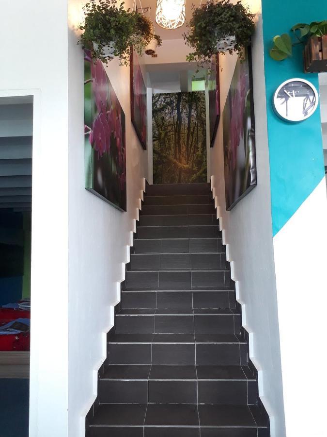 Oyo 90760 Lily Haven Hotel Tanah Rata Buitenkant foto